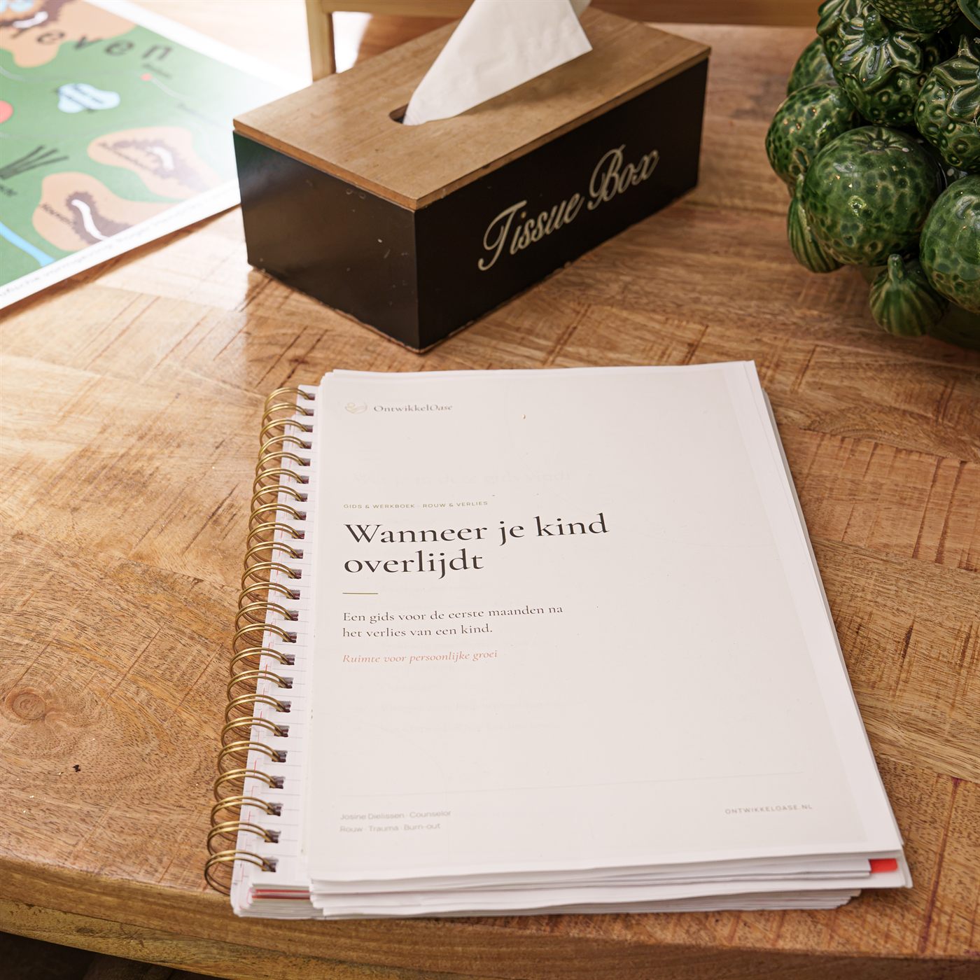 Werkboek van OntwikkelOase op tafel tijdens een 1-op-1 counselinggesprek